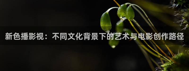 驰策驰影院 免费观看