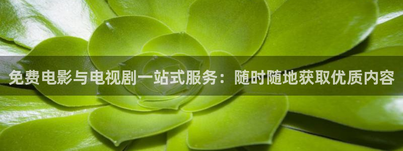 驰策影院在线看