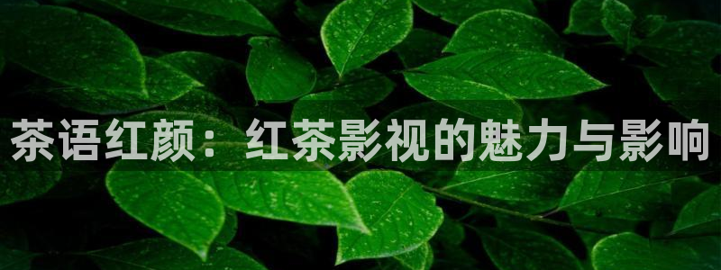 驰策驰影院电视剧免费