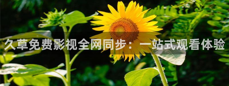 驰策电影网